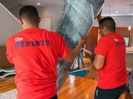 Furniture Movers