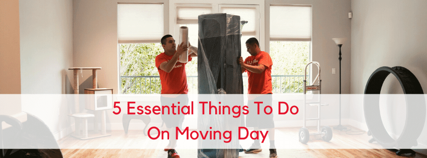  5 Essential Things To Do On Moving Day