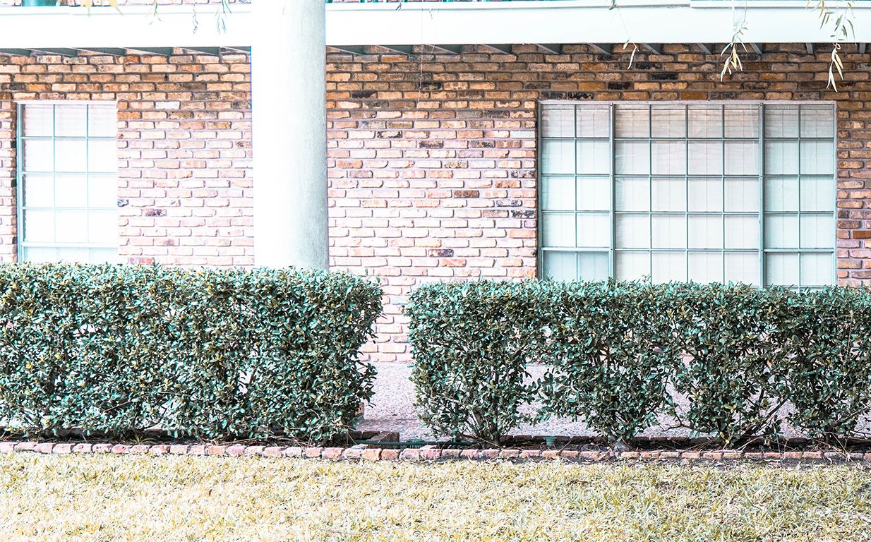 Hired Shady Movers? Here’s What To Do!